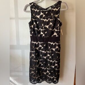 NEW Karlie dress from Posh boutique in Nashville. Medium Black lace keyhole back
